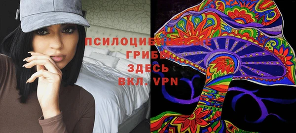соль ск Алексин