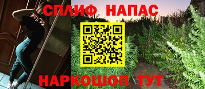 дживик Анжеро-Судженск
