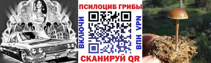 Галлюциногенные грибы прущие грибы  Салават 