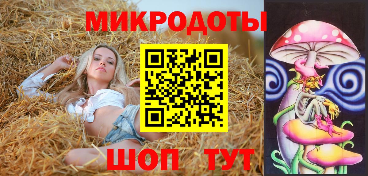 Псилоцибиновые грибы Psilocybe Салават