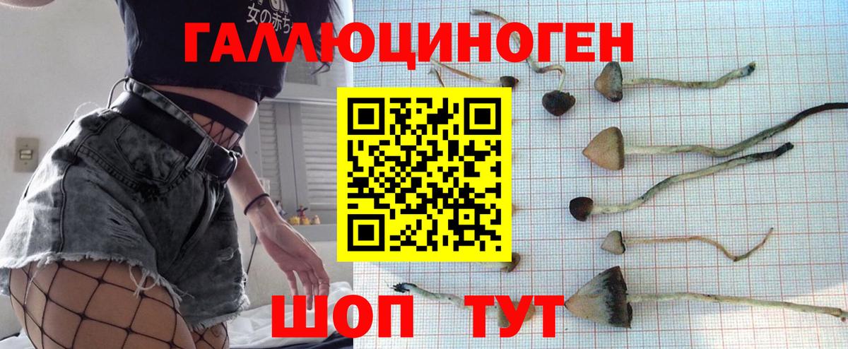 Салават  Галлюциногенные грибы Cubensis  Вход с VPN 